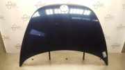 Motorhaube VW New Beetle 9C XXXXX