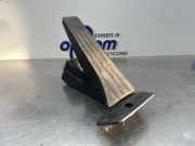 Fahrpedal BMW X1 E84 25916010