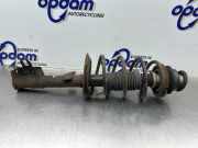 Federbein links vorne Fiat Panda 169 51857301