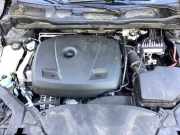 Motor ohne Anbauteile (Benzin) Volvo V40 Schrägheck 525, 526