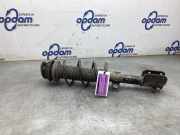 Federbein rechts vorne Suzuki Swift IV FZ, NZ 4160168L01