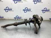 Federbein links vorne Audi A6 4F, C6 8K0413031AE