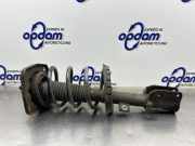 Federbein links vorne Peugeot Expert II Kasten VF 1400567680