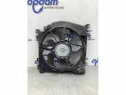 Elektrolüfter Renault Clio III BR0/1, CR0/1 7701068310