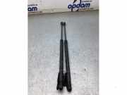 Heckklappendämpfer Suzuki Celerio LF 8185084M00