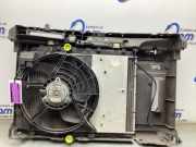 Frontblech Peugeot 2008 I 9682895680