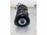 Federbein links vorne Audi A3 Sportback 8Y 5WA413023A