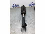 Federbein links vorne Mercedes-Benz C-Klasse W205 A2053201513