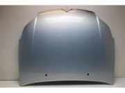 Motorhaube Citroen C5 II RC