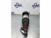 Federbein links hinten BMW i4 G26 13981113