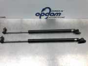 Heckklappendämpfer Mitsubishi Grandis NA0W