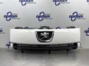 Kühlergrill Peugeot Expert II Kasten VF 7804Q8