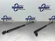 Heckklappendämpfer Suzuki Celerio LF 8185084M00