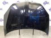 Motorhaube Skoda Fabia II 542 5J0823031A