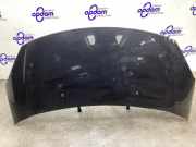 Motorhaube Citroen C3 II SC 7901R1