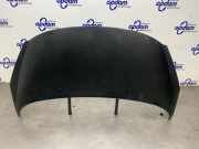 Motorhaube Peugeot 207 SW WK 7901N2