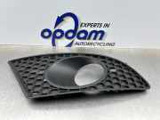 Lüftungsgitter für Stoßfänger Seat Leon 1P 1P0853666A