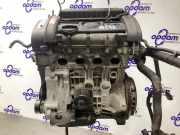 Motor ohne Anbauteile (Benzin) Skoda Fabia II Kombi 545 036100038L