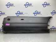 Zierleiste Ford Transit V363 Kasten FCD, FDD BK3117926ECW