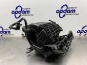 Verteilerrohr Kraftstoff VW Polo V 6R, 6C 036129709