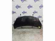 Motorhaube Toyota Aygo B1 533010H010
