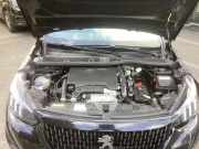 Motor ohne Anbauteile (Benzin) Peugeot 2008 II UD, US, UY, UK 1627638180