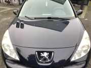 Motorhaube Peugeot 206+ T3E 7901R5