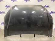 Motorhaube Kia Carens III UN 664001D010