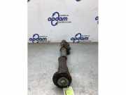 Federbein links vorne VW Crafter 30-50 Fahrgestell 2F