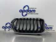 Kühlergrill links BMW X2 F39 51137424777