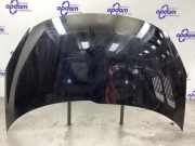 Motorhaube Peugeot 206+ T3E 7901R5