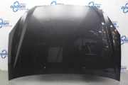 Motorhaube Kia Carens III UN