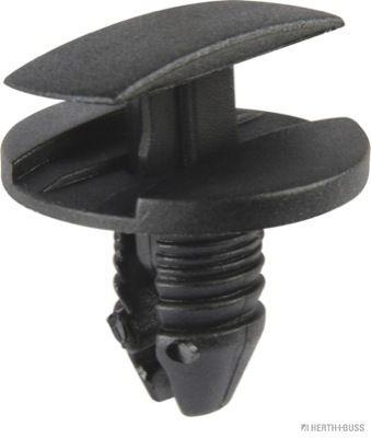 Clip, Zier-/Schutzleiste Bild Clip, Zier-/Schutzleiste