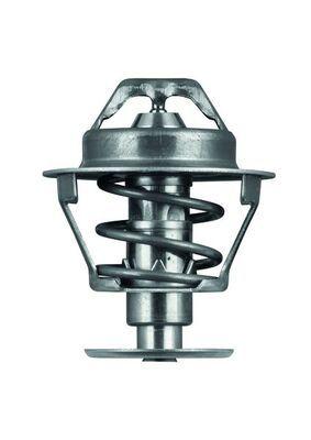 Thermostat, Kühlmittel