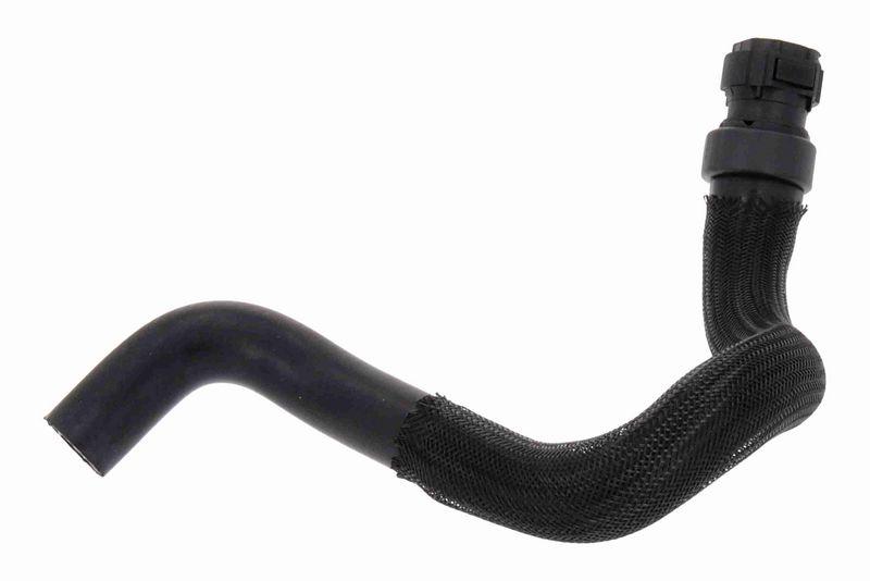 Schlauch, Wärmetauscher (Heizung)