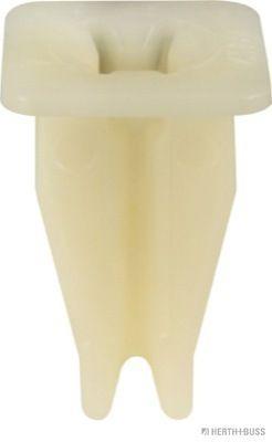 SPREIZNIET Bild SPREIZNIET