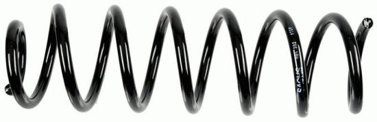 Fahrwerksfeder Bild Fahrwerksfeder