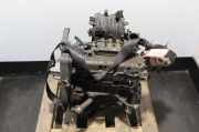 Motor ohne Anbauteile Honda Civic 1.4i EP1,EP2,EP3,EP4,EU6,EU7,EU8,EU9,EV1 66 90 37912