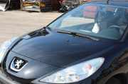 Motorhaube Peugeot 206+ 75 Edition 2KFX/2NFZ/ 55 75 48037