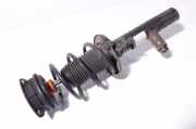 Federbein Vorne Rechts 3Q0413031BB VW Passat Variant 2.0 TDI SCR 4Motion DSG (bmt) Highline 3G 176 240 62117