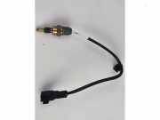 Temperatursensor Motor von einem Ford Grand C-Max