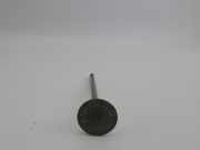Auslassventil Mercedes-Benz S-Klasse W222 A2560501300