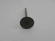Auslassventil Mercedes-Benz S-Klasse W222 A2560501300