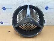 Stern von einem Mercedes E-Klasse