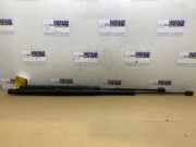 Gasdämpfer Motorhaube Set von einem Mercedes C-Klasse