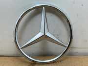 Stern von einem Mercedes R-Klasse