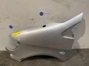 Kotflügel links vorne von einem Mercedes Vito