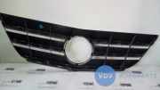 Grill von einem Mercedes B-Klasse