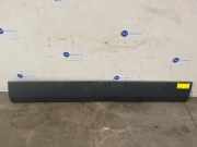 Zierleiste von einem Mercedes Sprinter