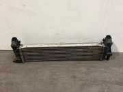 Ladeluftkühler von einem Mercedes Vito